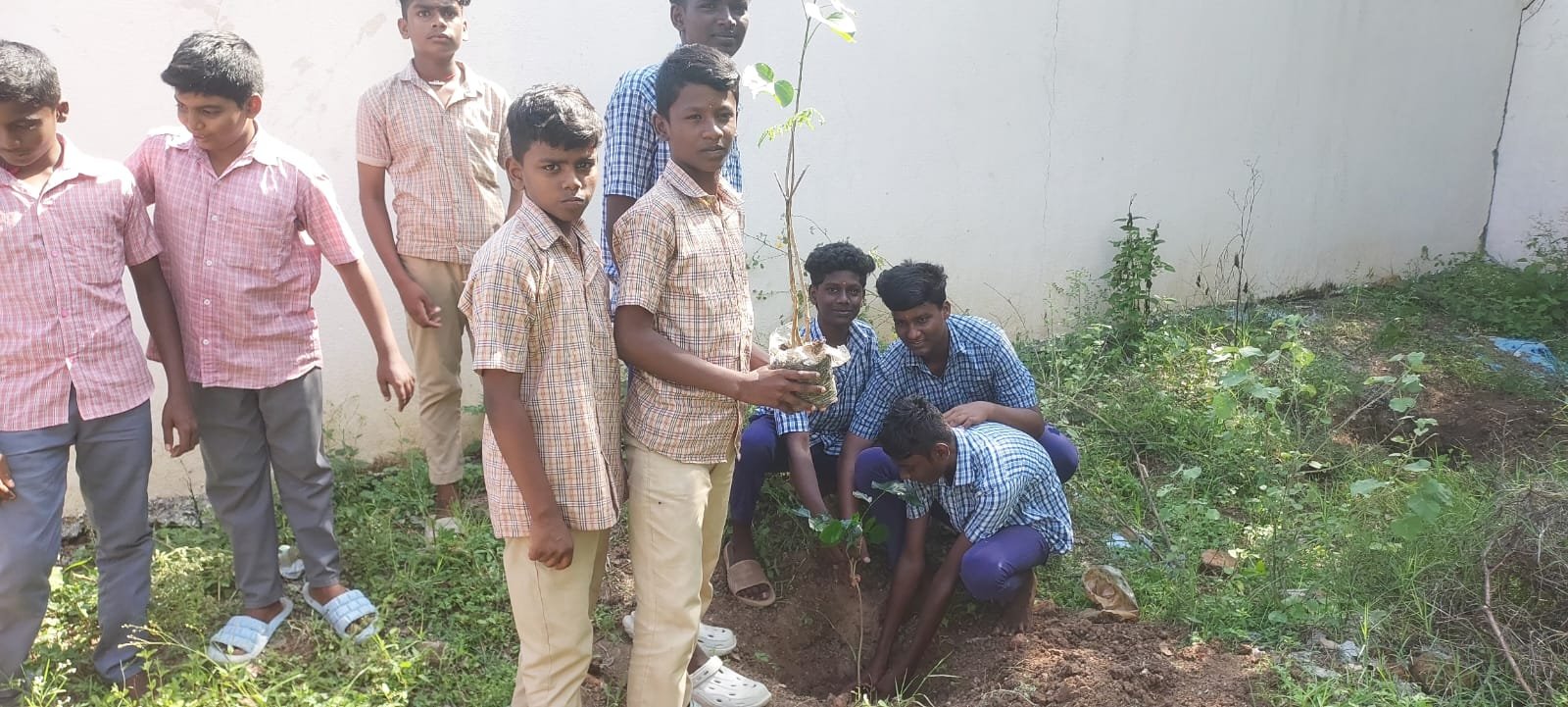 Our tree plantation drive held on June 5, 2026, in commemoration of World Environment Day image
