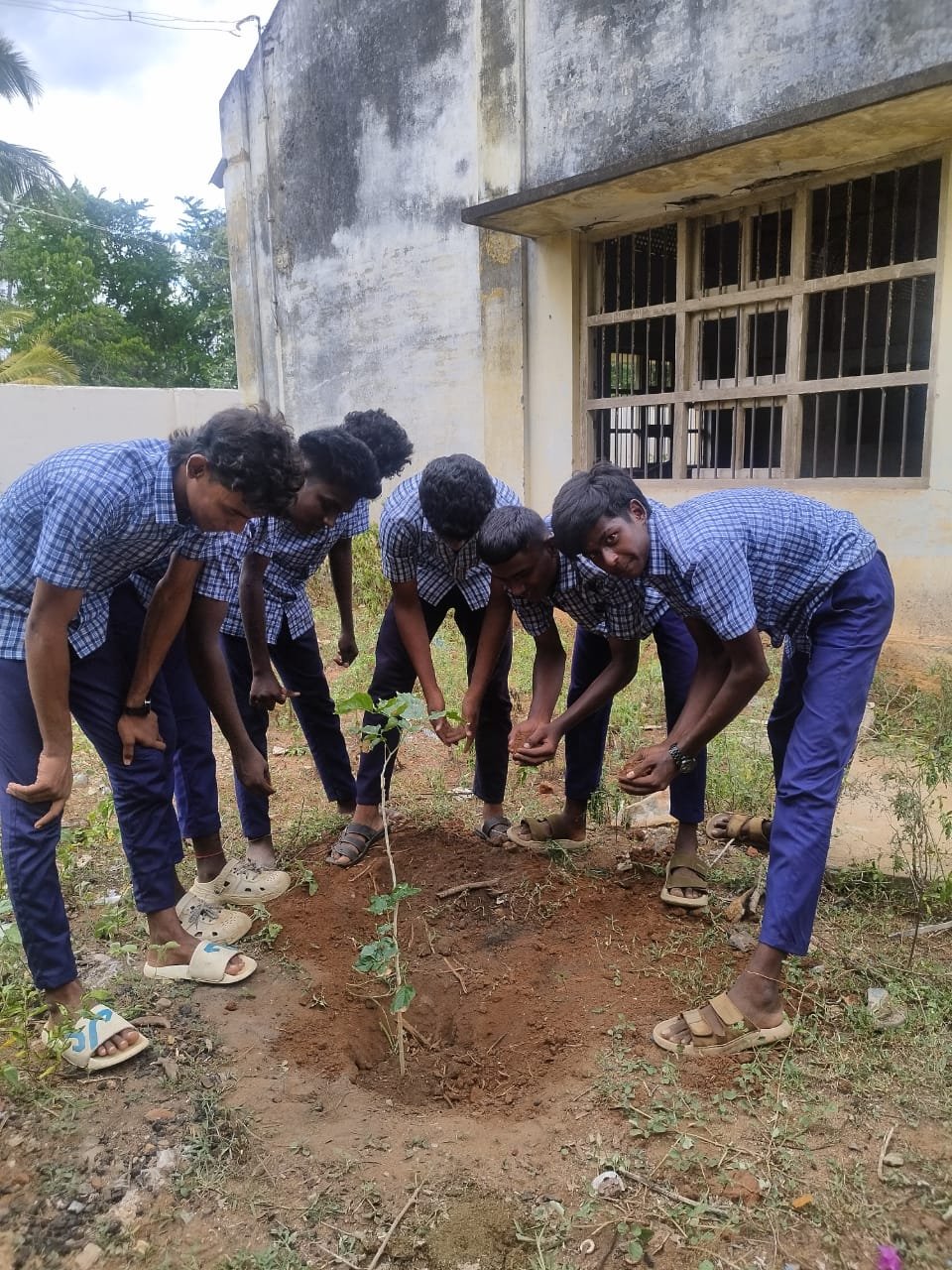Our tree plantation drive held on June 5, 2026, in commemoration of World Environment Day image