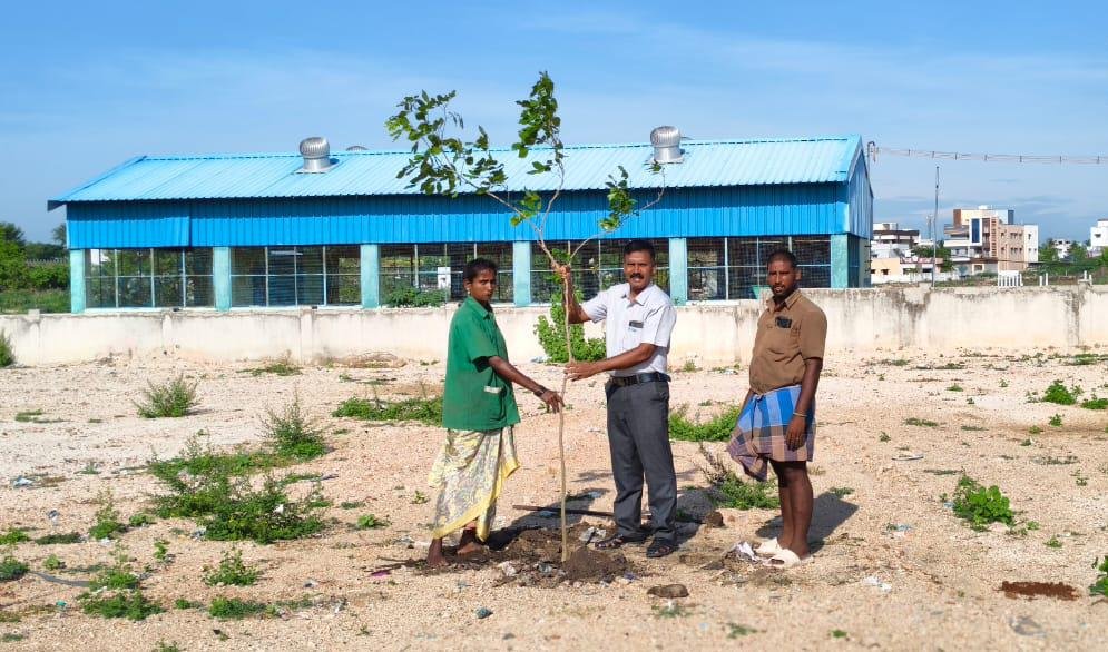 Our tree plantation drive held on June 5, 2026, in commemoration of World Environment Day image